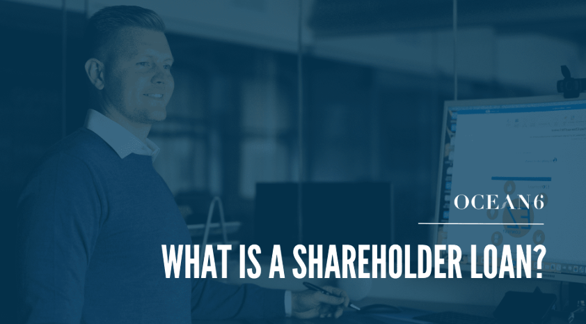 Shareholder Loans What it is and How Does it Work